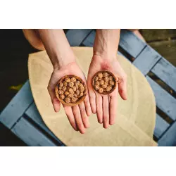 how to eat yellow nutsedge how to eat yellow nutsedge