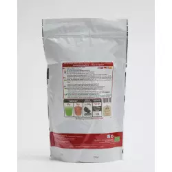 Sementes de Trigo Sarraceno Orgânico (para germinar)