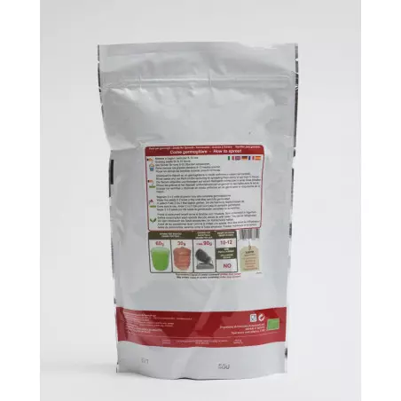 Semillas de Alforfón Orgánico (para germinar)