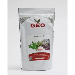 Semi di grano saraceno biologico (da germogliare)