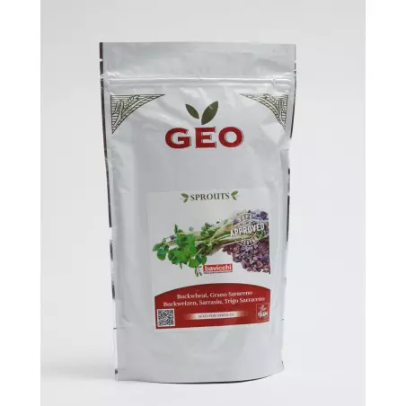 Semillas de Alforfón Orgánico (para germinar)