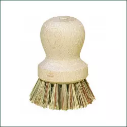 Trays Brush Sprouter Maintenance