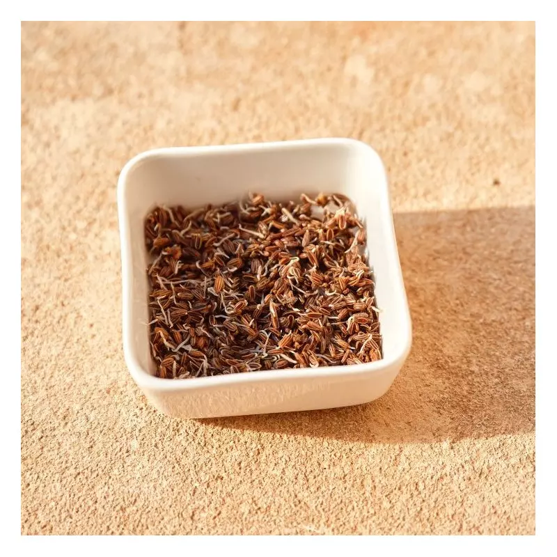 Organic fennel seeds