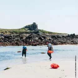 Ernte von Algen im Wattenmeer