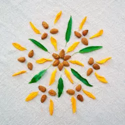 mandala almendras activadas y flores, sin ácido fítico