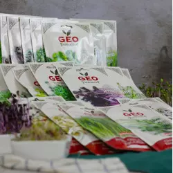 Los imprescindibles - paquete de descubrimiento de semillas para germinar