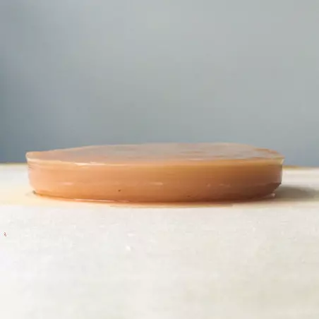 Pacote completo Kumbucha BIO