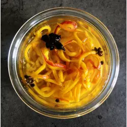 Ausbildung in der Herstellung von dehydrierten Gemüse-Pickles - ShiraBio