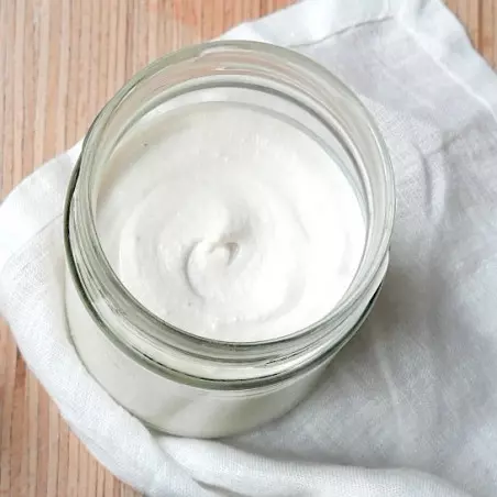 Plant-Based Creamery Training - ShiraBio