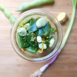 Frühlings-Lactofermentationskurs 1 - ShiraBio