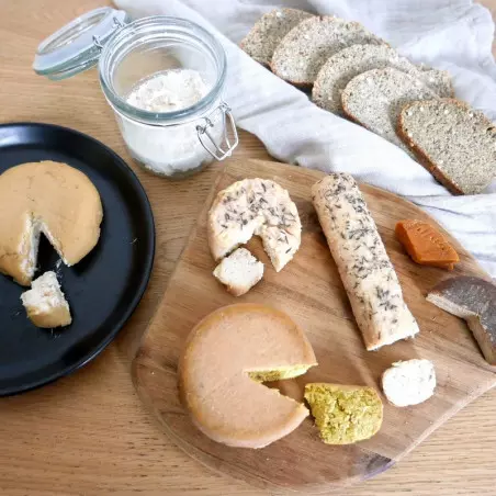 Formação Queijos Vegetais Fermentados - ShiraBio