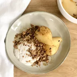 Fermented Plant-Based Yogurts Training - ShiraBio