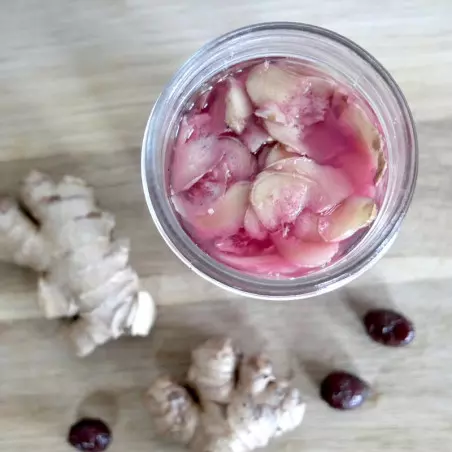 Formação Lacto-fermentações criativas - ShiraBio