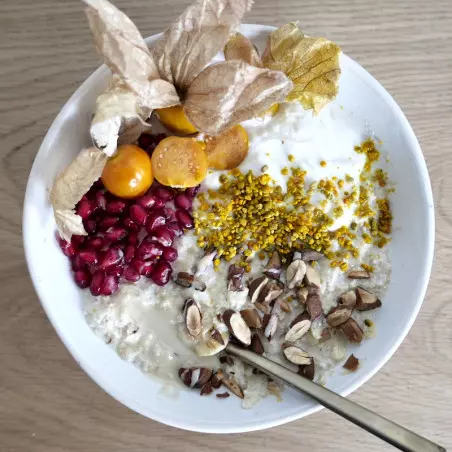 Formación de Porridges Fermentados - ShiraBio