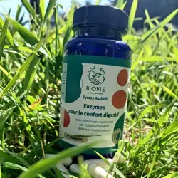 Enzimi per la digestione - zymes assimil Biovie