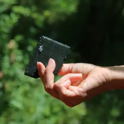 organic spirulina France ethics and quality