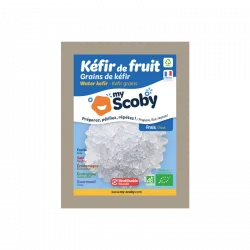 Verpackung frischer Kefirkörner