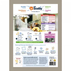 kit caseiro de kefir My Scoby (orisae)