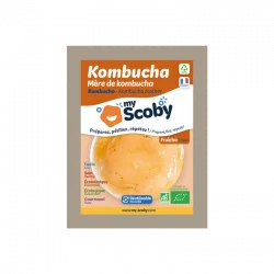 imballaggio kombucha fresco