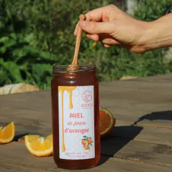 Miele di fiori d'arancio di Spagna | Naturmel