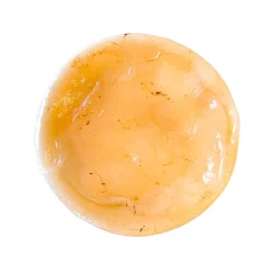 Moeder van biologische Kombucha