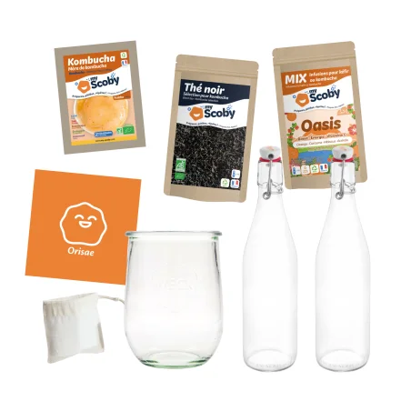 Pacote completo Kumbucha BIO