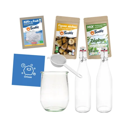 Paquete completo de kéfir de fruta BIO