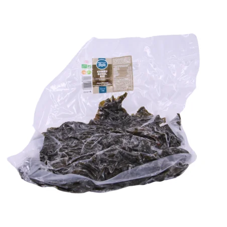 Alga kombu fresca orgânica | BRETALG