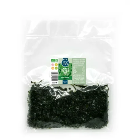 Fresh organic sea lettuce algae | BRETALG