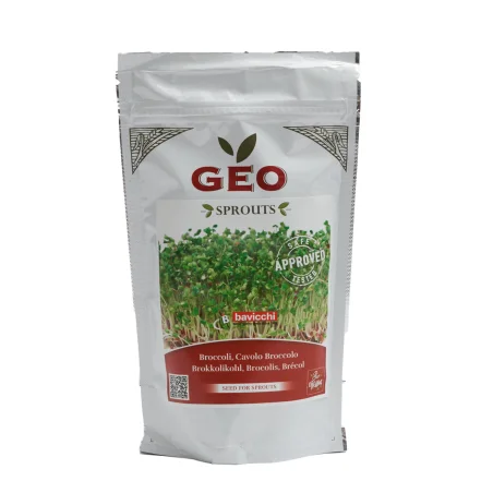 Semente de Brócolis Orgânico (para germinar)