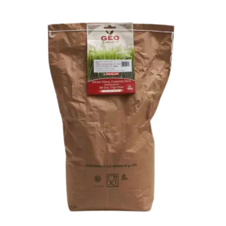 Semi di Grano Bio per Erba di Grano