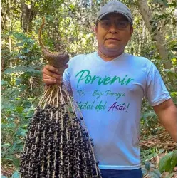 Polvere di Açaí liofilizzata BIO ed equa - 80g Polvere di Açaí liofilizzata BIO ed equa - 80g