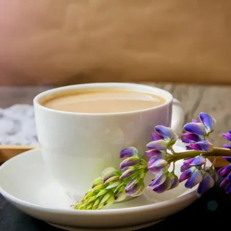 Café de Lupin Bio - TIKAWA Intense (720g)