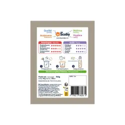 Mutter von Bio-Kombucha