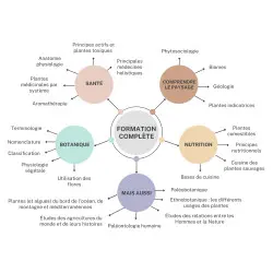 Formação completa - François COUPLAN