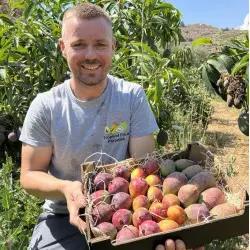 Mezcla de mangos orgánicos 2 variedades (5 kg)