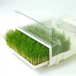 Conjunto de 3 germinadores automáticos Easygreen