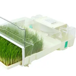 Conjunto de 3 germinadores automáticos Easygreen