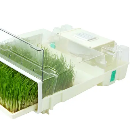 Conjunto de 3 germinadores automáticos Easygreen