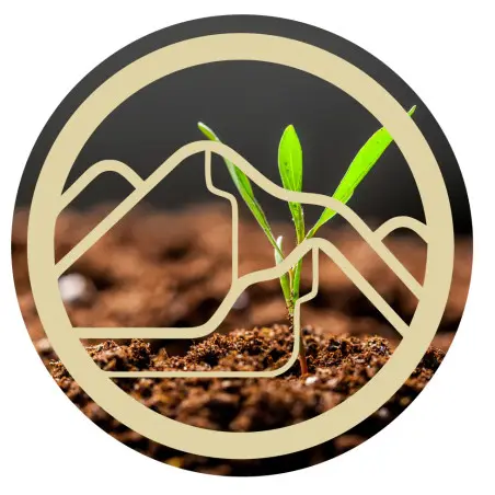 Partículas cuánticas de enzimas digestivas - ZenCleanz