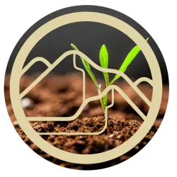 Enzimas líquidas LIGHTSEED - ZenCleanz