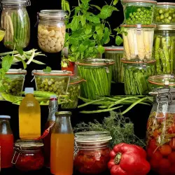 The Essentials of Plant-Based and Raw Cuisine by Marie Sophie L