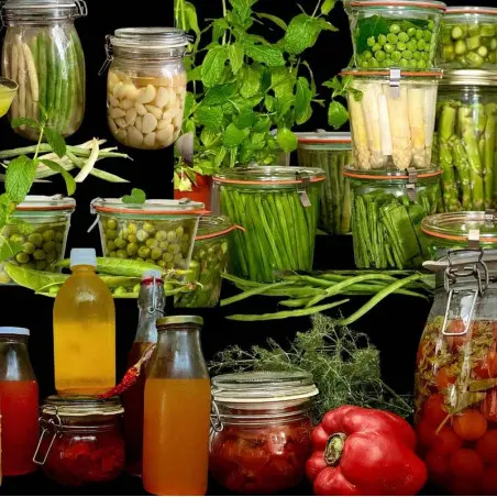 The Essentials of Plant-Based and Raw Cuisine by Marie Sophie L