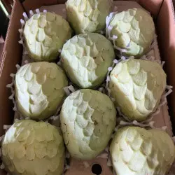 chirimoya cherimoya espagne bio