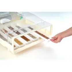 Set di 3 germogliatori automatici Easygreen