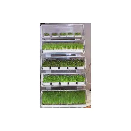 Set di 3 germogliatori automatici Easygreen