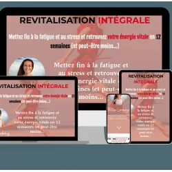 Integral Revitalization: 12 Weeks to Regain Your Vital Energy - Justine Lamboley