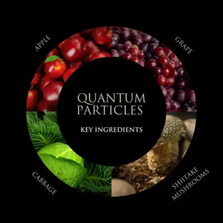 Partículas cuánticas de enzimas digestivas - ZenCleanz