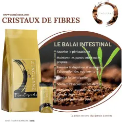 Cristales de fibras en polvo - ZenCleanz