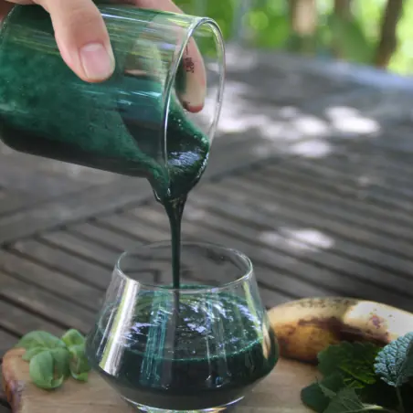 SPIRULINE AMBIANCE 2